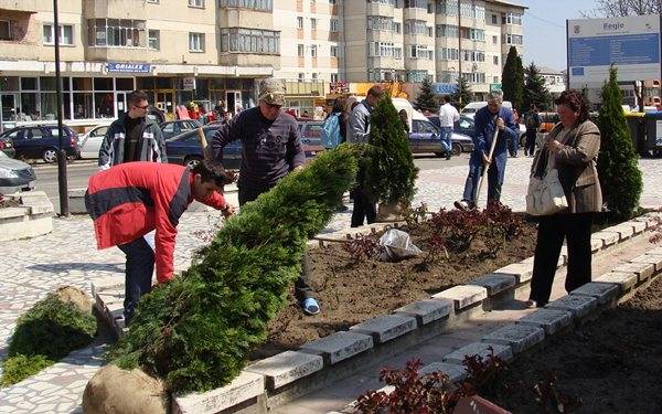 Palota szociális segélyből