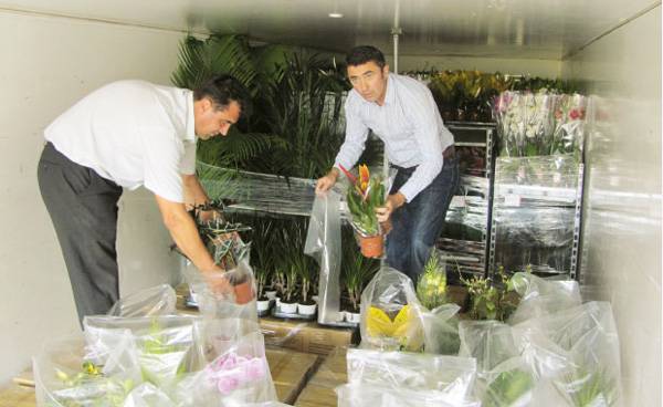  Holland panasz a „tulipánháború” miatt