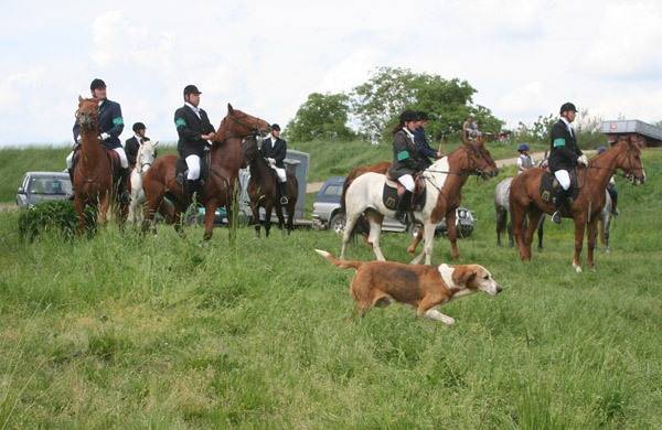 • Fotó: A szerző felvétele