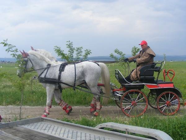 &bullet;  Fotó: A szerző felvétele