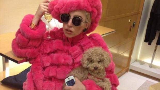 Masszőrt kér a kutyájának Lady Gaga Bukarestben