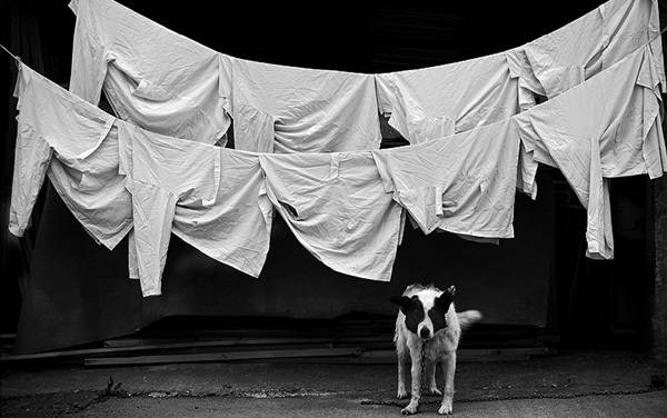 Hajdu Tamás fotóművész alkotásaiból nyílt kiállítás Kolozsváron