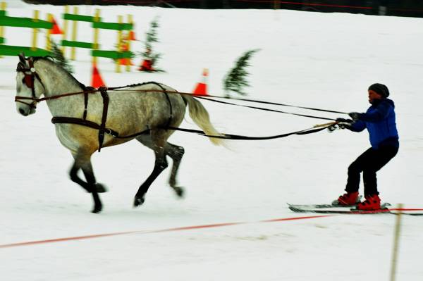 Székelyföldi Lovasfarsang 