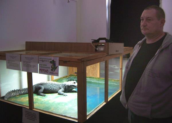 Steinhübel István hideg vérű kedvencei