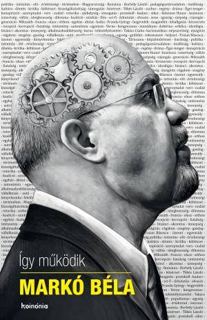 Az első erdélyi magyar e-könyv: „Így működik Markó Béla”
