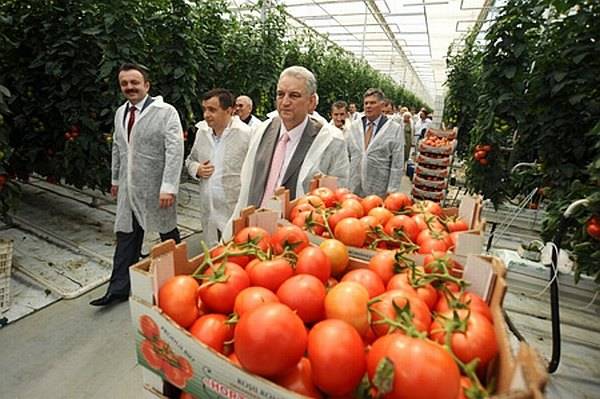 Megszűnik a mezőgazdaság állami támogatása 2010. január elsejétől