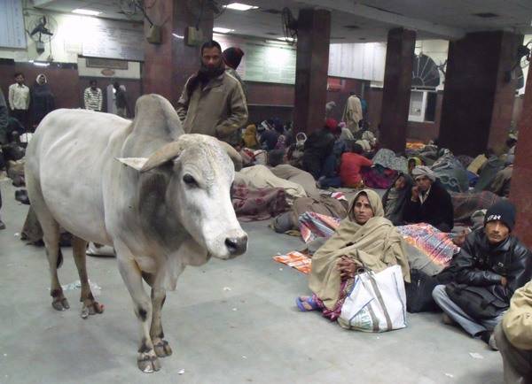 India, a menny és pokol országa (2.)