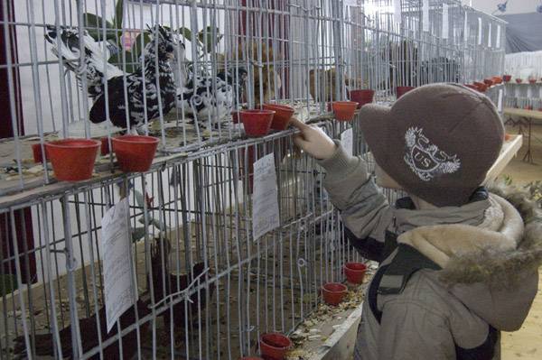•  Fotó: A szerző felvétele