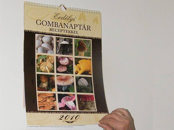 • Fotó: A szerző felvétele