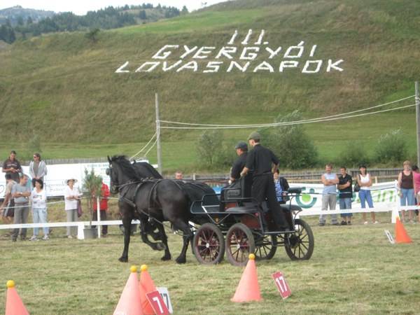 • Fotó: A szerző felvétele
