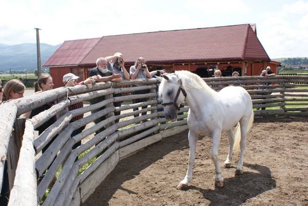• Fotó: A szerző felvétele