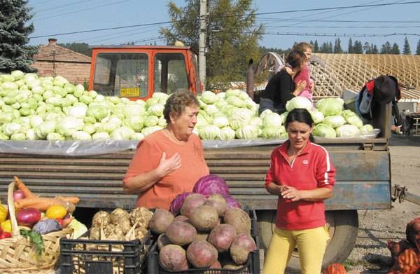 Híres káposztájukat ünnepelték a gyergyószárhegyi gazdák