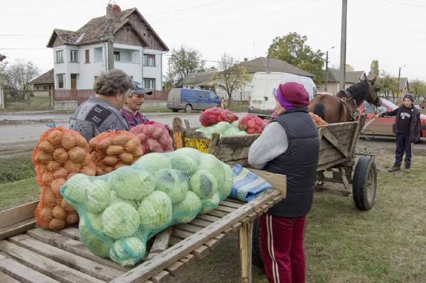 Elégedetlenek a Szatmár megyei zöldségtermelő gazdák 