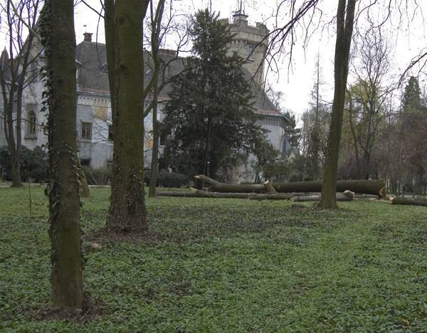 Megújul a nagykárolyi kastélypark