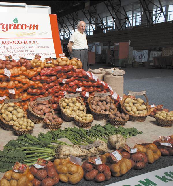 Kézdiexpó válságban