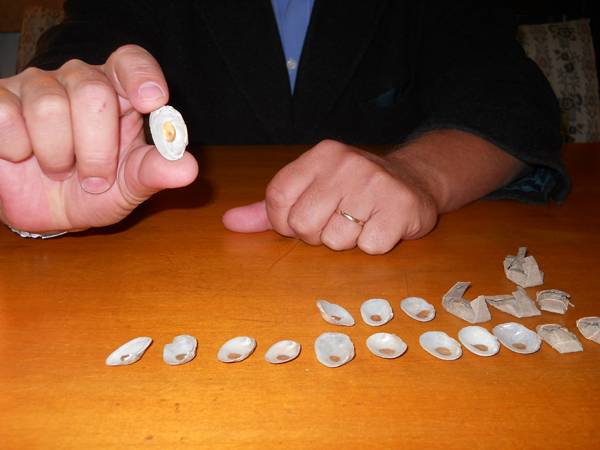 Különleges leletre bukkantak a tasnádi református templomban