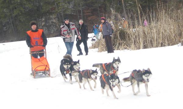 Kutyaszánhúzó versenyt szerveztek a hét végén a Gyilkos-tónál