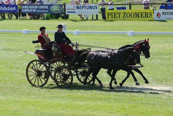Vb-re készülnek az erdélyi fogathajtók