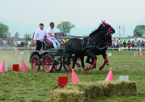 Klubba tömörülnek a székelyföldi lovasok