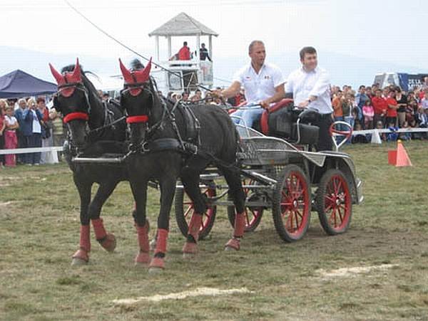 Segédhajtó elöljárók