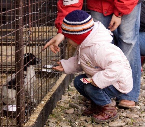 •  Fotó: A szerző felvétele