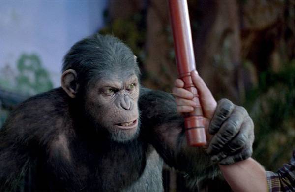 Ismét hódítanak az intelligens majmok