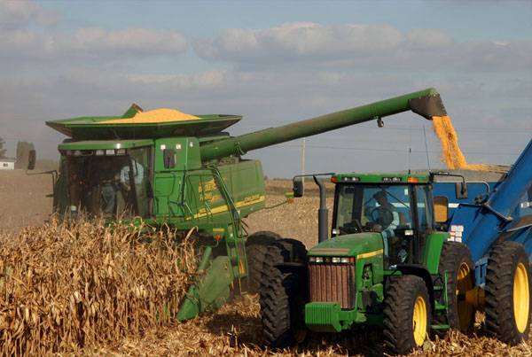 Itthon termett idén a legtöbb kukorica az Európai Unióban