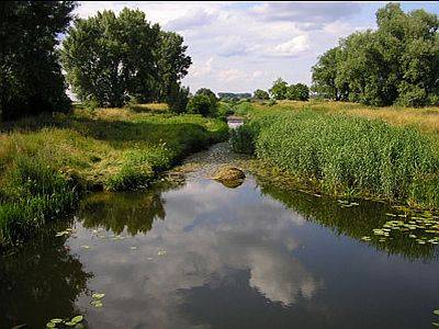 Kipusztult a Marcal folyó teljes élővilága, elérte a Dunát a vörösiszap