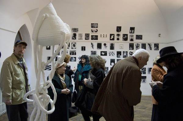 Az ellentétek bűvöletében