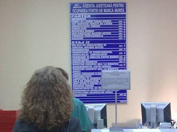 Oklevéllel állás nélkül