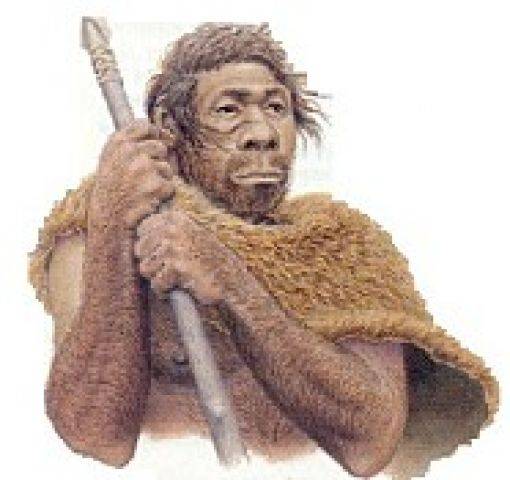 A szélsőséges éghajlatváltozás végzett volna a neandervölgyi emberrel?