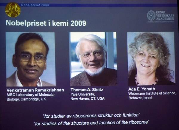 Egy izraeli, egy amerikai és egy brit tudós kapta megosztva a kémiai Nobel-díjat 