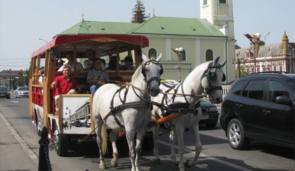 Saját omnibusza van Nagyváradnak