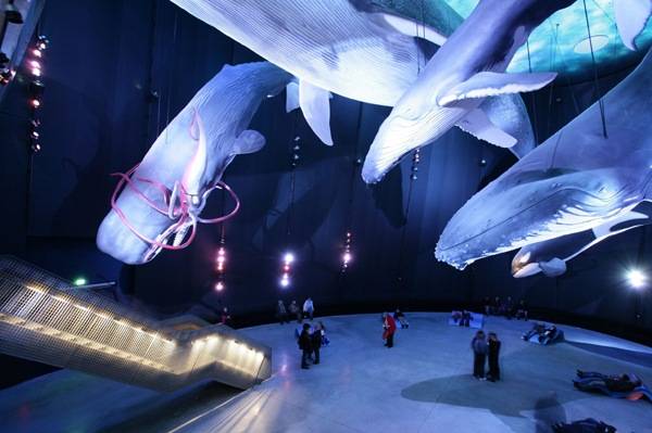 Óceanárium az év múzeuma Európában