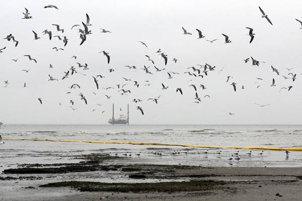 &bullet;  Fotó: Agerpres