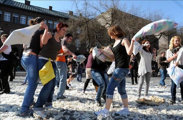 Párnacsaták Magyarországon