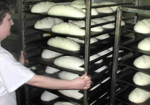 Tizenhét szatmári cég ellen folytat vizsgálatot a gazdasági versenyhivatal