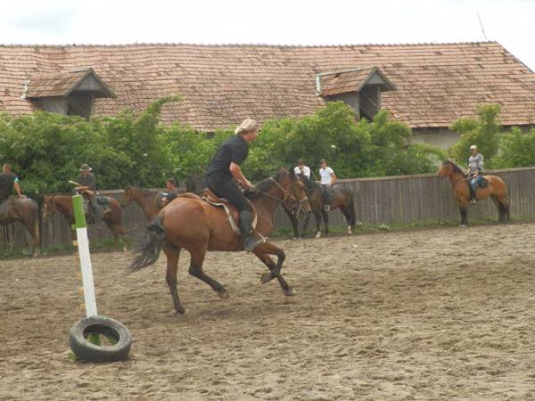 Előkészületben a Székely Vágta