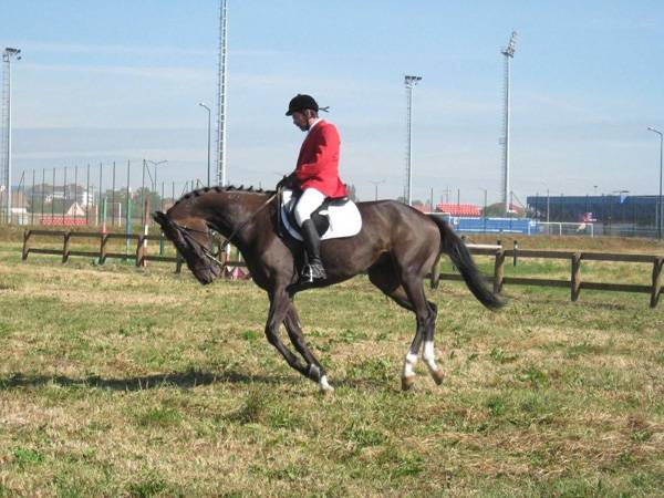 Kolozsvári siker lovastusában