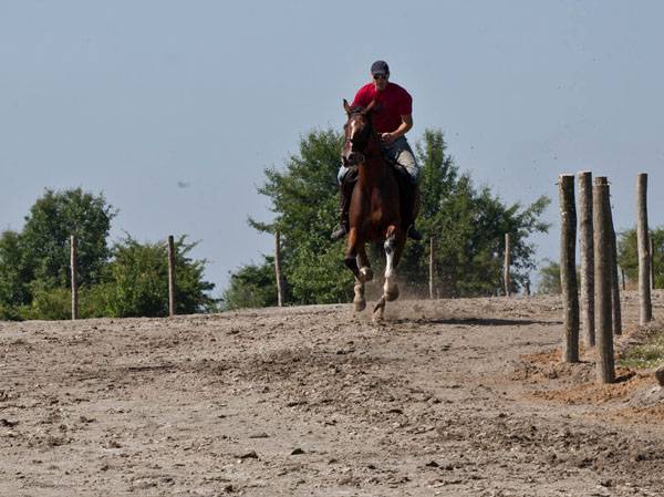 Székely Vágta: szombaton rajthoz állnak a versenyzők