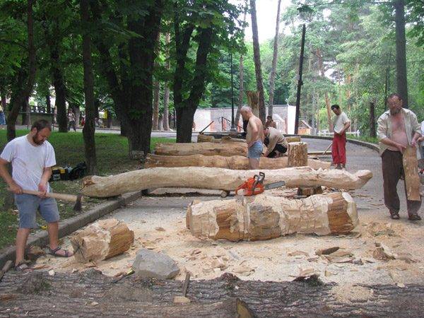 Szobrásztábor kezdődött a sepsiszentgyörgyi Erzsébet parkban