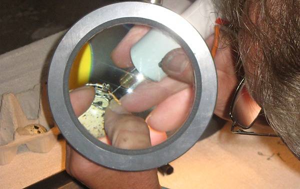 &bullet;  Fotó: A szerző felvétele