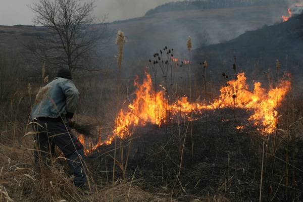 Országszerte pusztít a tarlótűz 