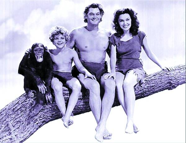 Tarzan nyomában