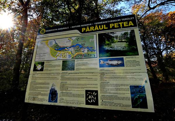 Kivizsgálás a püspökfürdői tündérrózsa ügyében, apadó borvízforrás Hargitafürdőn 