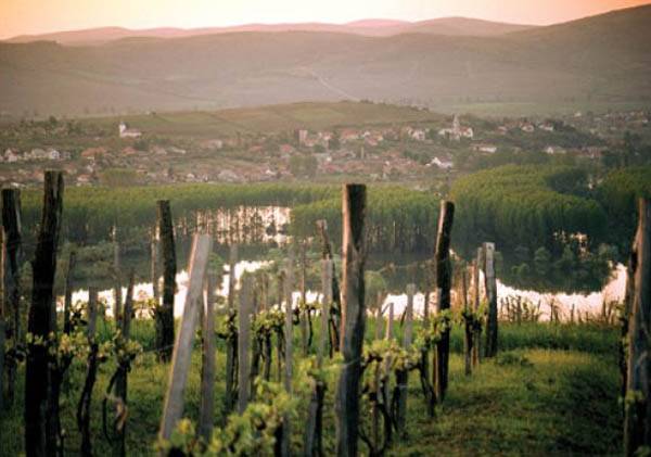 Újabb csörte Tokaj ügyében