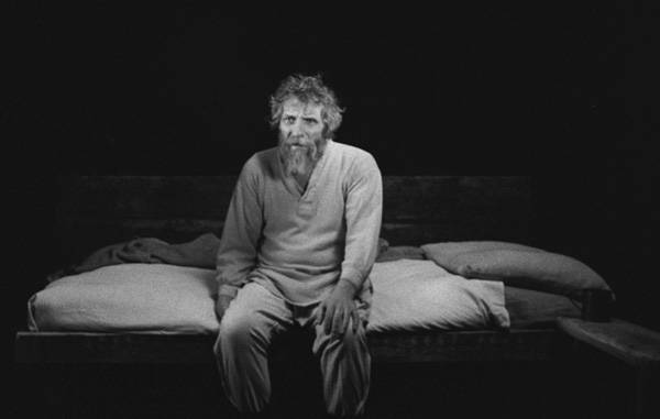 Visszafogott alkotás, visszavett teremtés – Tarr Béla: A torinói ló (2011)