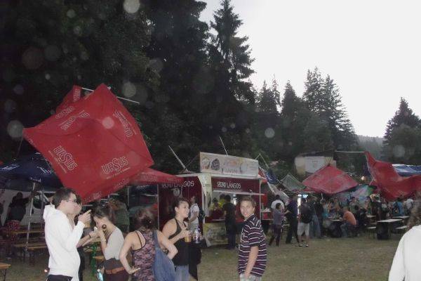 Tusványos: sátorbontó szélvihar és brummogó látogató