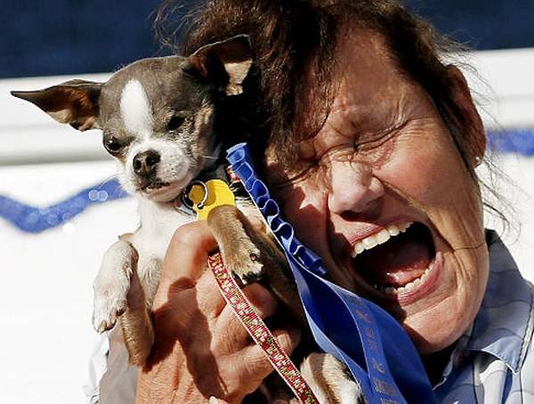 A világ legrondább kutyája