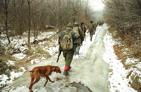 A szaktárca kezében a medveügy – Korodi Attila üdvözli az új vadászati törvény kihirdetését